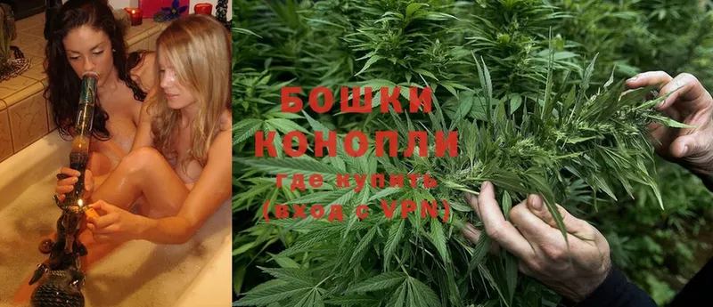 Бошки марихуана Ganja  гидра маркетплейс  Уяр 